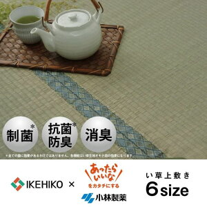  ~ J[ybg  RۖhL L ѐKOBA-GUARD ]ˊ6(261×352cmj[13]