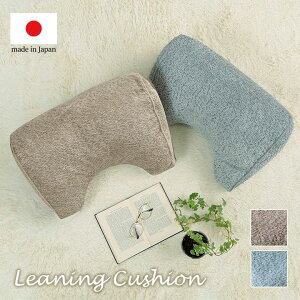 �N�b�V���� ��肩���� �w���� ���낮 �V���v�� ���Y ���{�� ��55×35×25cm[13]