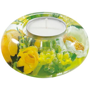 h[Cg Lhz_[ UFO(S) XvOt[ Mtg 蕨 v[g[24]