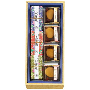 ͓x͉ ԗx aَql Mtg 蕨 v[g FR-10[24]