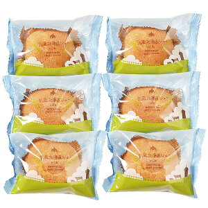  kCV[N[6 Mtg 蕨 yYz[24]