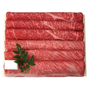 Oc{ јaĂEԂԗp Mtg 蕨 yYz[24]