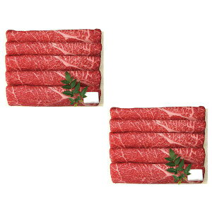 Oc{ јaĂԂԗp Mtg 蕨 yYz[24]