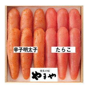 ܂ hqqE炱l(Fj Mtg 蕨 yYz[24]