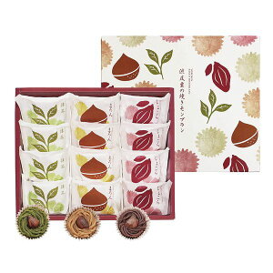 s {V aȈĂu Mtg 蕨 yYz[24]