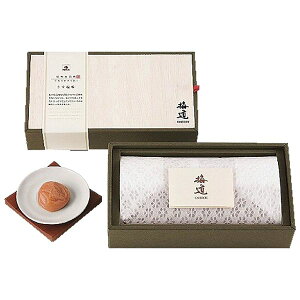 cHi ~ IB썂~  500g Mtg 蕨 yYz[24]