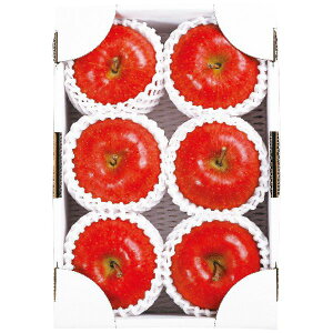 ݉̎R`YTӂGi2kg Mtg Ε [24]