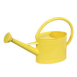 S@W[@CG[@2.2L @81512@mΑn[01]