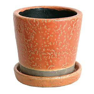 DULTON O[Yh|bg@S IW CH15-G527OR@DULTON@_g[01]