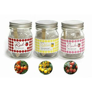 Garden Jar K[fEW[@3Fg}g@͔|Lbg@͔|Zbgysz[02]