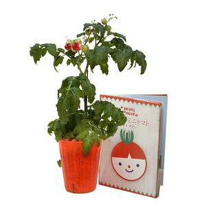 NEWIG{͔|Lbg@G{@͔|Lbg@͔|Zbg[02]