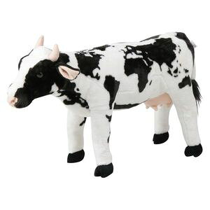 EV([h}bv) 8981-31(82470) iF1_j[09]