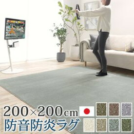 【ポイントUp4倍】ラグ ラグカーペット 正方形 防音防炎ラグ-エイヴァ 200x200cm リビング 高級感 おしゃれ 北欧 シンプル 無地調 極細 ホットカーペット対応 オールシーズン 防音 防ダニ 防炎 すべり止め 日本製 カットオーダー 在宅[11]