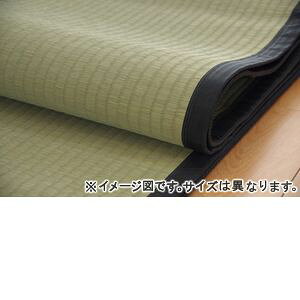 Y  ~ J[ybg ȐD wx ]ˊ6i261×352cmj F{YCgp 1400200012602 [13]
