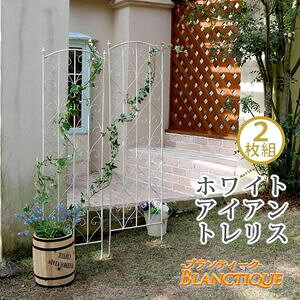 y|CgʒIzueB[N zCgACAgXH147 2gyAeB[N _ X^CbV Vv ACAtFX t@j`[K[f CeA Ƌ VR 