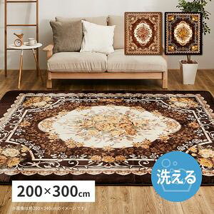 �􂦂郉�O �A�h���A ��200×300cm �����` ��􂢉� �z�b�g�J�[�y�b�g�J�o�[ ����~�ߕt�� �ԕ� �G���K���g ���� [29]