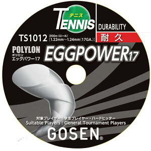 GOSEN�i�S�[�Z���j �G�b�O�p���[17���[�� �C�G���[ TS1012Y [21]