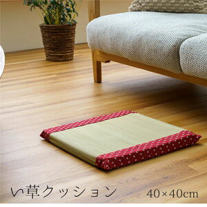 �N�b�V���� ���� ������� �a�� �m�� �E���^�� �������� �R�ۖh�L ���[�Y �l�p ��40×40cm�y����s�z[21]