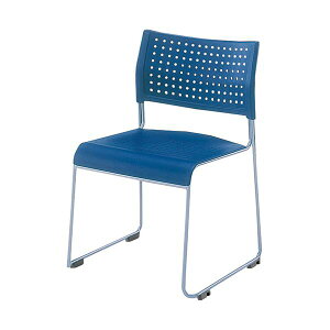 �A�C���X�`�g�Z ��c�C�X ASL-110PP �u���[[21]