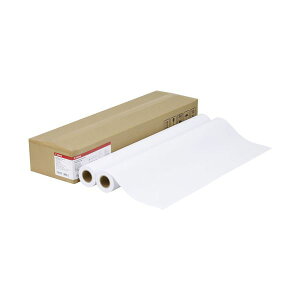 �L���m�� �v���~�A�����ʎ�LFM-PPP/36/80 2�{�� [21]
