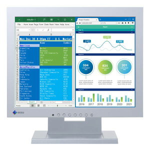 EIZO �t���f�B�X�v���C15�^/1024×768/DVI�AD-Sub/�Z���[���O���C/�X�s�[�J�[:���� S1504-TGY [21]