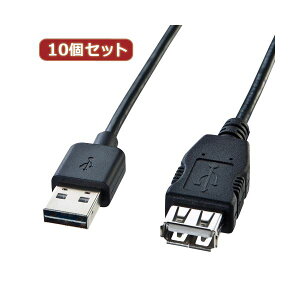 10�Z�b�g �T�����T�v���C ���ʑ}����USB�����P�[�u���iA-A���X�j KU-REN1 KU-REN1X10[21]