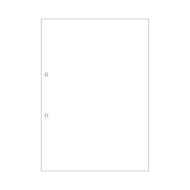 (まとめ) ヒサゴ マルチプリンター帳票(エコノミープライス) A4 白紙 2穴 BPE2001 1箱(2500枚) 【×4セット】 [21]
