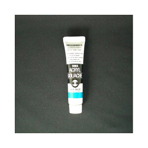 �i�܂Ƃ߁j �^�[�i�[ �A�N�����K�b�V�� 11ml �A�N�����K�b�V�� 11ml A�F-51 �X�J�C�u���[ 1�{�� �y×20�Z�b�g�z [21]