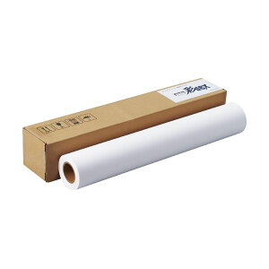 �Z�[���� ��dex �����F�N���X610mm×20m HS010F/120-24 1�{[21]