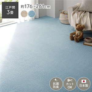 ���D�J�[�y�b�g ���O �}�b�g �]�ˊ�3�� ��176×261cm �X�J�C�u���[ ���{�� �R�� �h�L �z�b�g�J�[�y�b�g�Ή� �t���[�J�b�g �O�~�y����s�z [21]