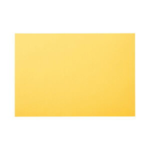 �����e�b�N �j���[�J���[R �l�� ������ 4NCR-108 1�p�b�N(100��)[21]
