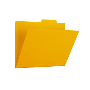(�܂Ƃ߁j�v���X PP�ʃt�H���_�[ FL-161IF �C�G���[ 5���y×10�Z�b�g�z [21]