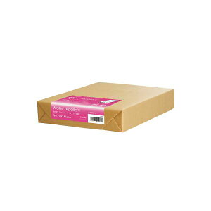 ���剮���X ������ �i-WR101V������ A4 500�� [21]