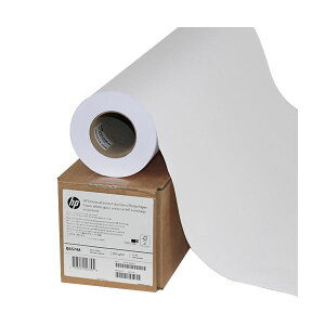 HP �X�^���_�[�h����������t�H�g�p��24�C���`���[�� 610mm×30m Q6574A 1�{ [21]