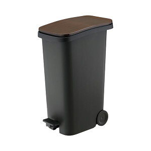 ���X �X���[�X �y�_���_�X�g�{�b�N�X31 �E�b�h DS-980-031-9 1��[21]
