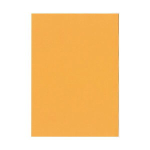 北越コーポレーション 紀州の色上質 A3 T目 超厚口 オレンジ 1箱(400枚：100枚×4冊)[21]