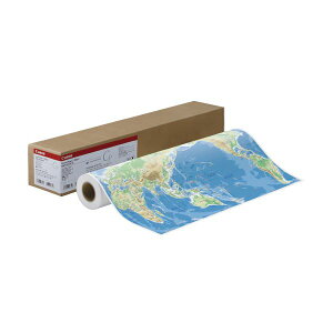 �L���m�� �R�[�g��2LFM-CP2/A0/95 A0���[�� 841mm×40m 8939B004 1�{[21]