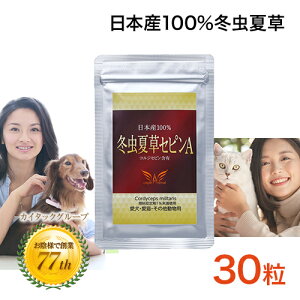 【岡山大学との共同研究を実施】 冬虫夏草 冬虫夏草セピンA セピン 30粒 ペット 動物 犬 猫 日本産 国産 サナギタケ 冬虫夏草 コルジセピン サプリメント 健康食品 国内製造 国内栽培 健康維