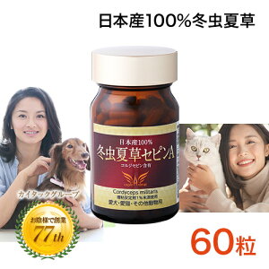 yRwƂ̋{z ~đ ~đZsA Zs 60 ybg   L {Y Y TiM^P ~đ RWZs Tvg NHi  ͔| N