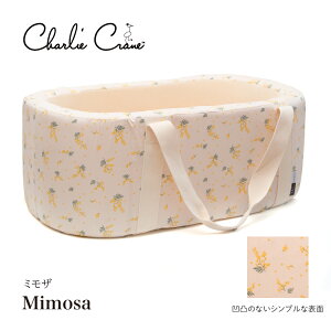 Vg xr[xbh ^ }bgX RpNg ؐ ړ YQ N[t@ Ԃ 肩 xr[ oXPbg S ʋC ttbg  Q xbh u