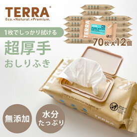 【お得な12個セット】 おしりふき 厚手 大判 ふた付き 70枚入り 12個 セット 840枚 TERRA テラ 出産祝い ギフト 男の子 女の子 無添加 赤ちゃん ベビー 水分たっぷり おしり拭き 破れにくい 手口ふき 蓋付 極厚 ケース