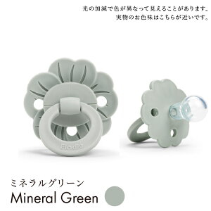 yGfBz Ԃ V  VR sN  j̎q ̎q IV Ԃ xr[ VR 3` oYj Mtg v[g GfBfBeB[Y pacifier 