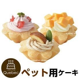 犬 猫 兼用 cake ペットケーキ プチタルトセット(苺、栗、チーズ) 3個入り ペット用 誕生日 記念日 partnerfoods