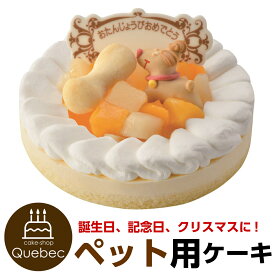 犬用 いぬ用 Dog cake プレートキャンドル付！　誕生日ケーキ レアチーズ ペットケーキ バースデーケーキ　賞味期限2024.07.23