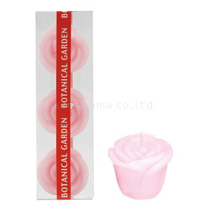 kameyama candle J} p[eB[Lh `[tLh [Y3@CgsN