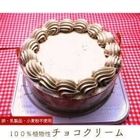 アレルギー対応 100％植物性チョコクリーム ホール 5号 15cm チョコレートケーキ バースデーケーキ 誕生日ケーキ 乳・卵・小麦を使用していないスイーツ