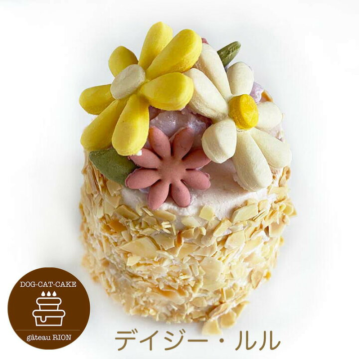 楽天市場 犬用ケーキ デイジールル お花が可愛い わんちゃん用ケーキ バースデーケーキ 誕生日ケーキのお店ケベック