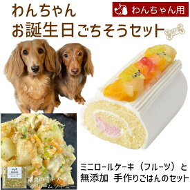 わんちゃんお誕生日ごちそうセット ミニロールケーキ（フルーツ）と 無添加 手作り 犬用ごはん 鶏肉の雪下人参クリームシチューのセット 送料無料