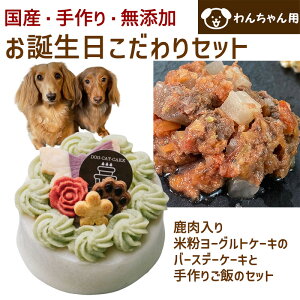 わんちゃんお誕生日こだわりセット 愛犬のお祝いケーキ 鹿肉入り米粉ヨーグルトケーキバースデーケーキと手作り犬用ごはん 鹿肉のラグー(煮込み)のセット