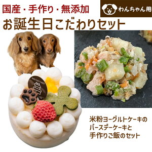 わんちゃんお誕生日こだわりセット 愛犬のお祝いケーキ マンゴー入り米粉ヨーグルトケーキバースデーケーキと手作り 犬用ごはん 豚もも肉の肉じゃがのセット